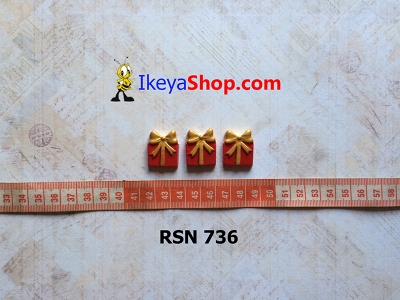 rsn 736  large2